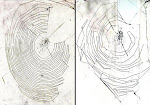 Old Spiders Weave Messy Webs