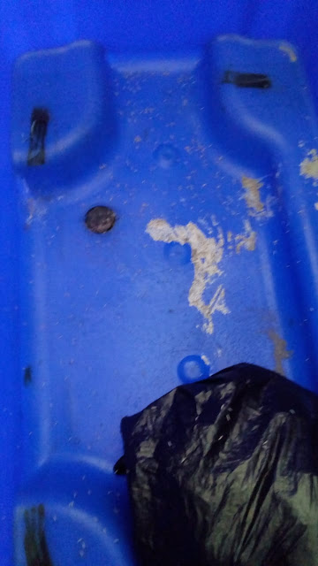 imagenes de gusanos de basura imagenes de gusanos de basura