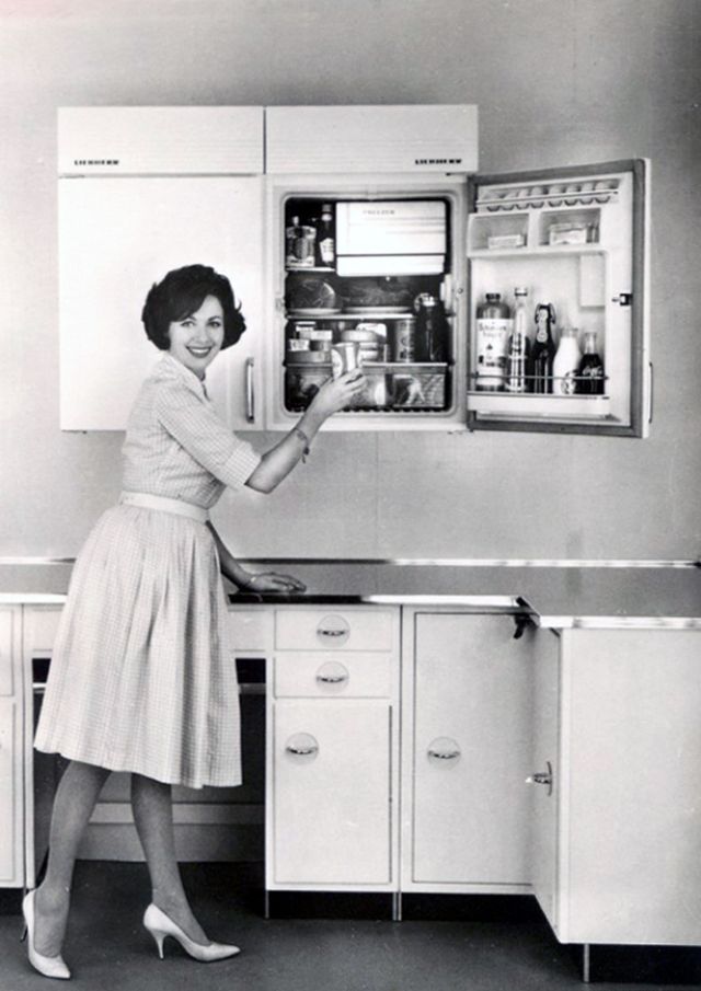 25 Vintage Photos Show What People Often Had in the Refrigerators From