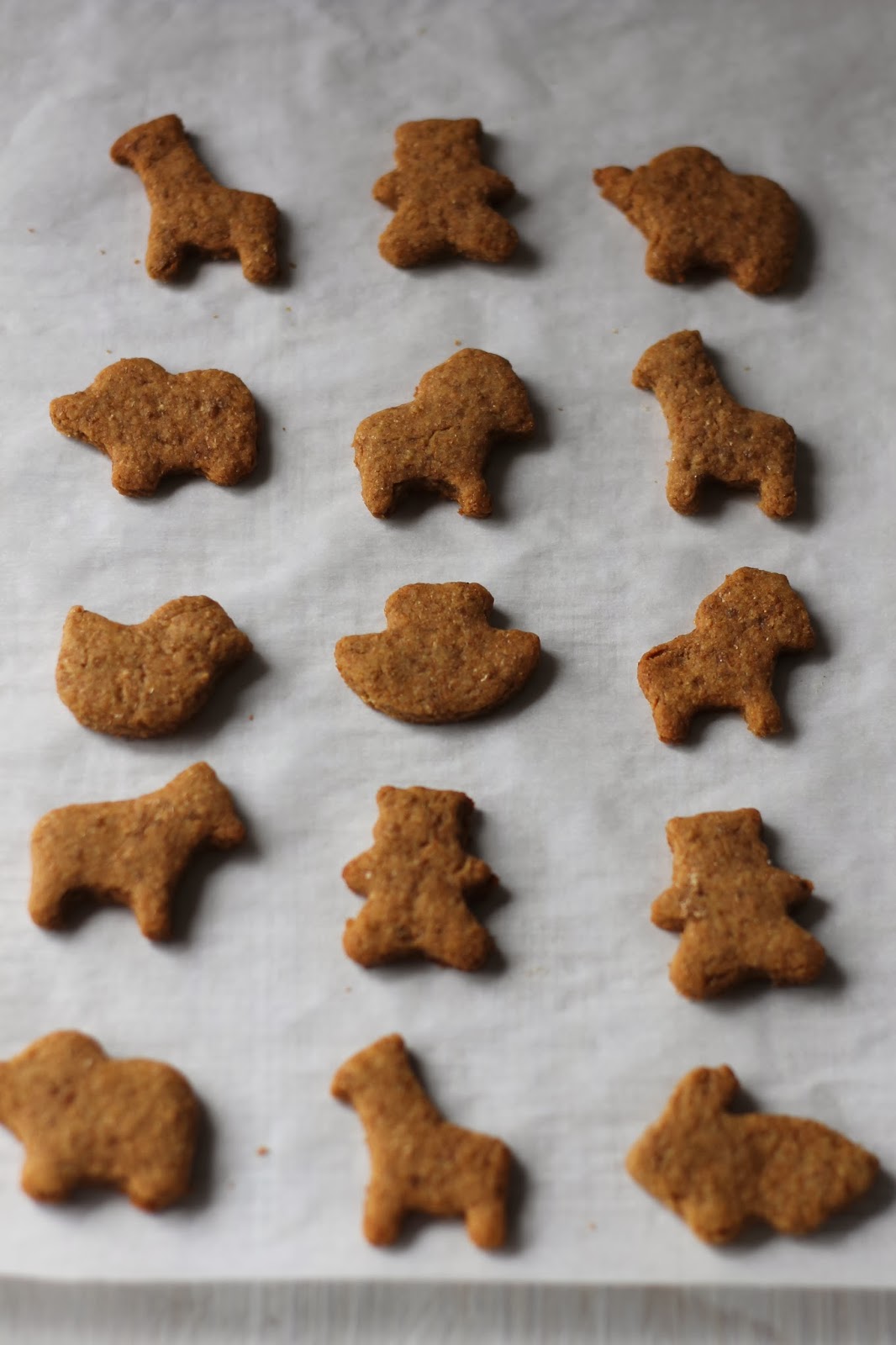 Where Your Treasure Is Animal Crackers and Cocoa to Drink