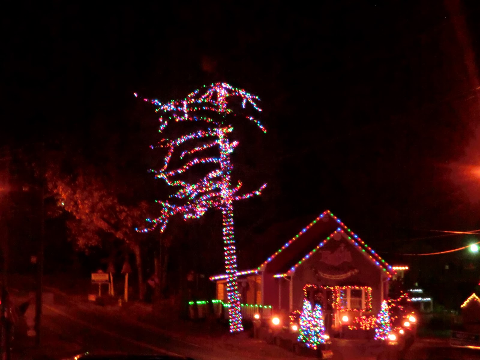 Learning Between The Lakes Patti's Festival of Lights