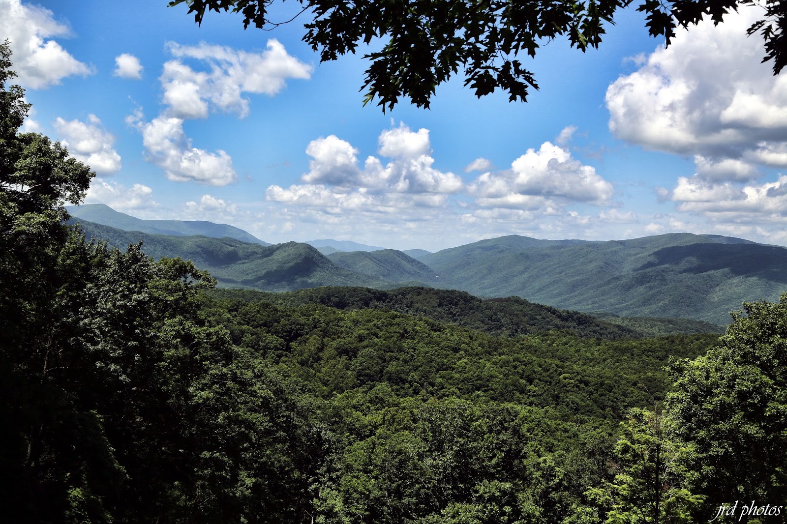Just A Pic "In the Smokies at Roaring Fork"