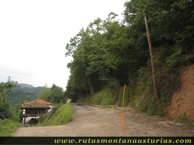 Ruta Bueño Peña Avis: Camino hacia el bosque