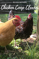 chicken coop cleaner diy natural happy think let know please
