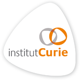 Institut Curie