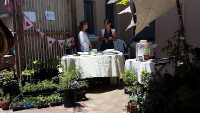 Urban Farmstead at Glencairn Market