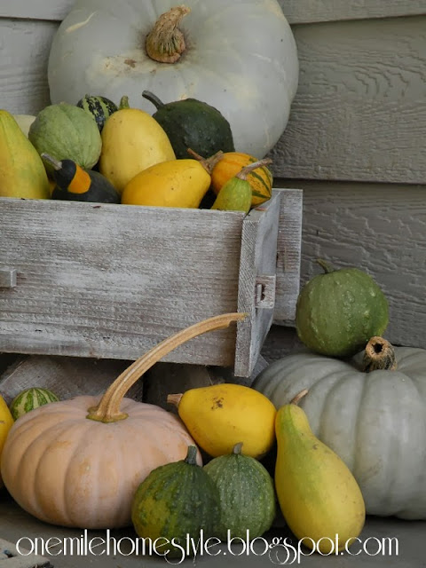 Planter full of fall gourds