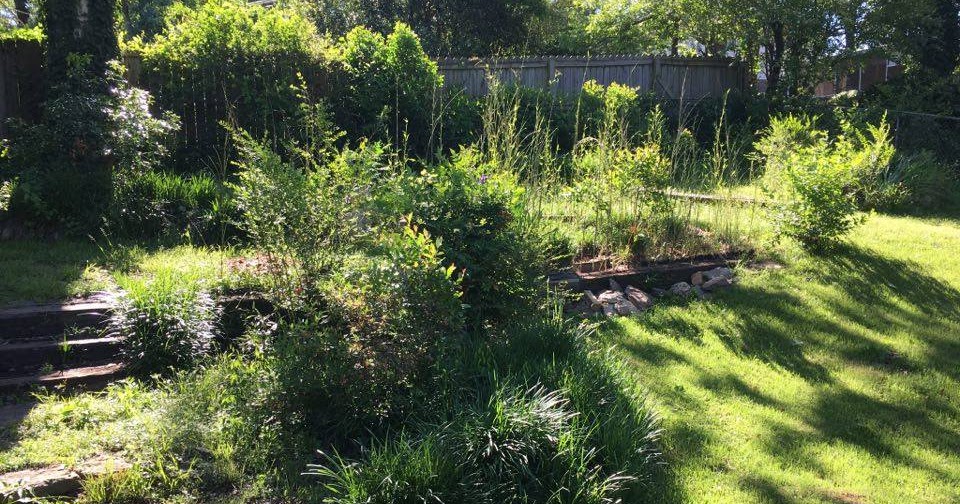 Creating a DIY Container Garden