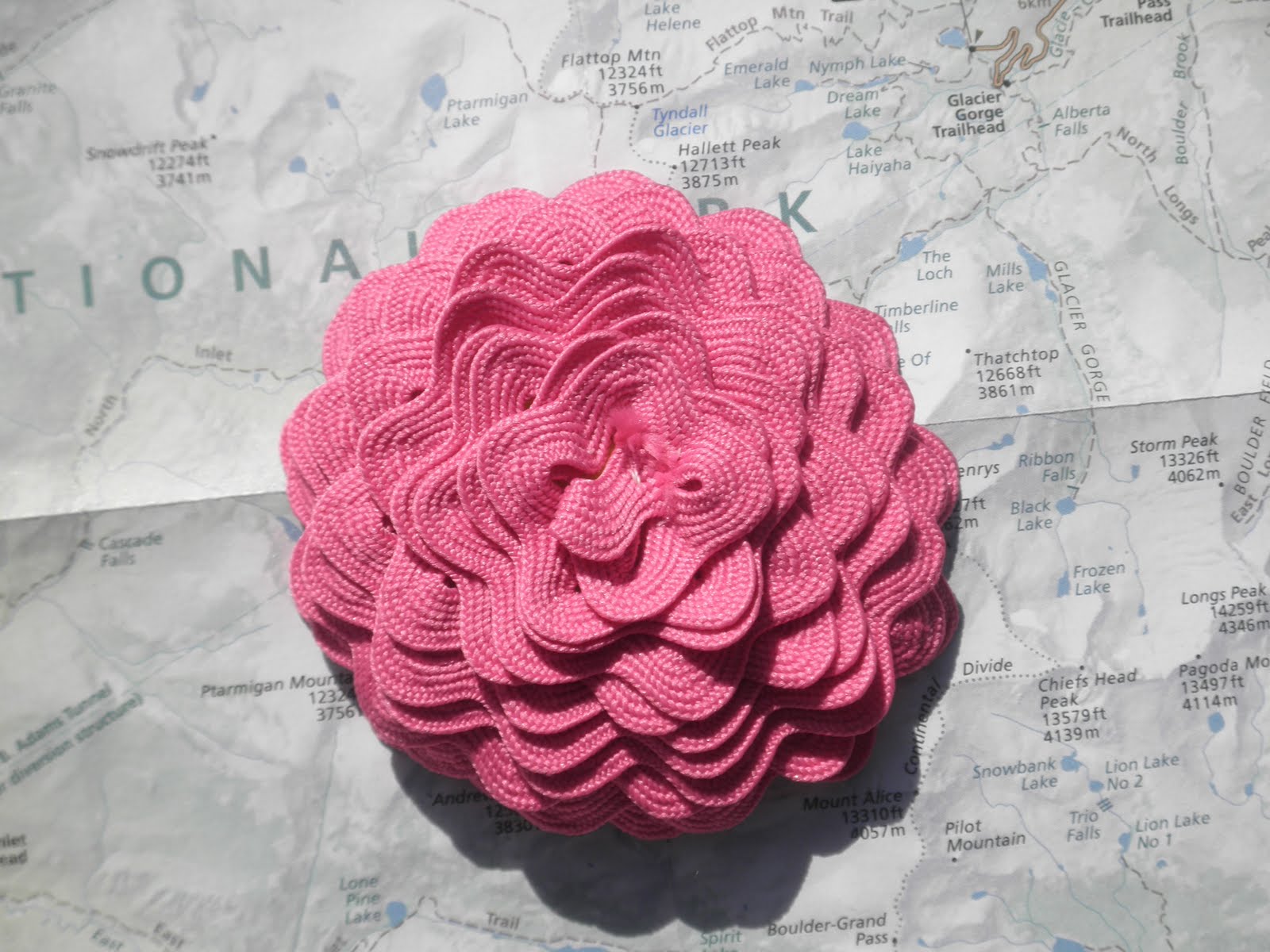 Sew Divertimento: Ric Rac Flower