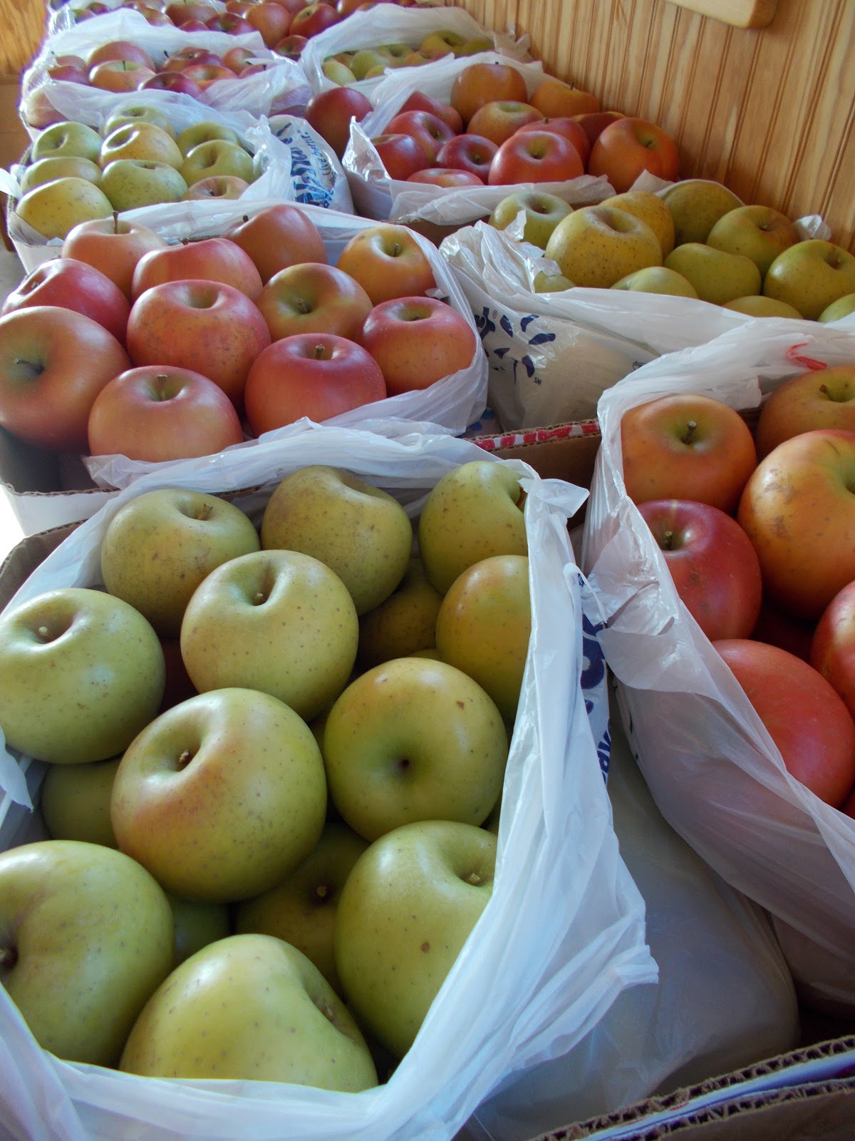 Brenda's Berries & Orchards Many Harvested Apples for Sale