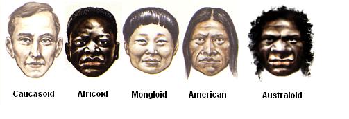 how-many-human-races-are-there-in-the-world