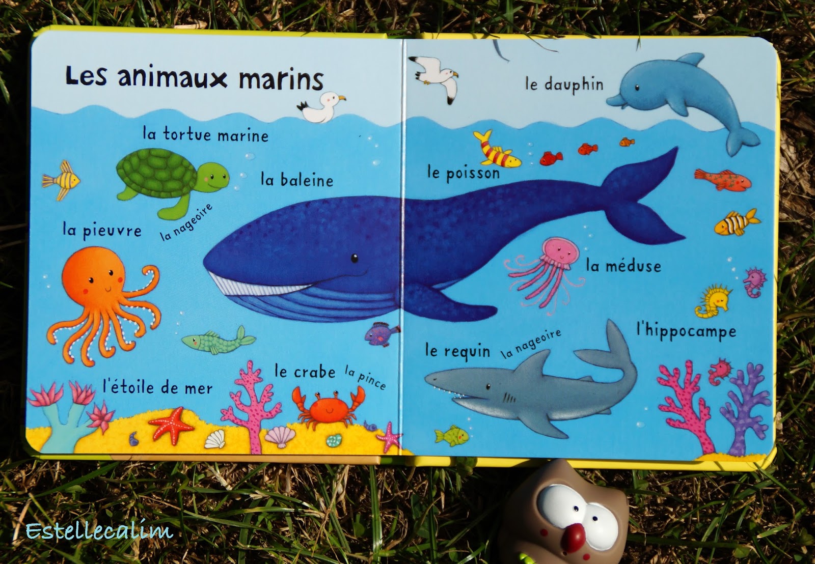 Lire Relire Ne Pas Lire Des Livres Avec Des Animaux 