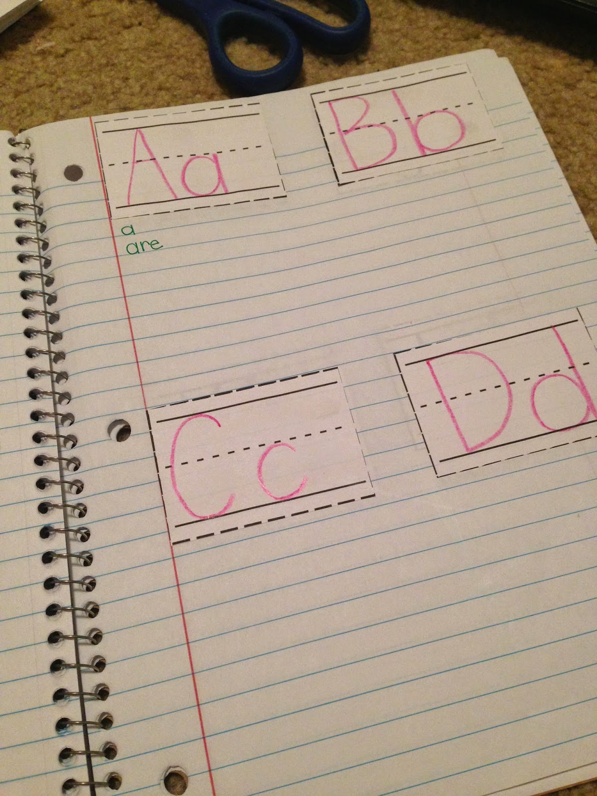 Interactive Notebook Freebie! | Pride and Primary