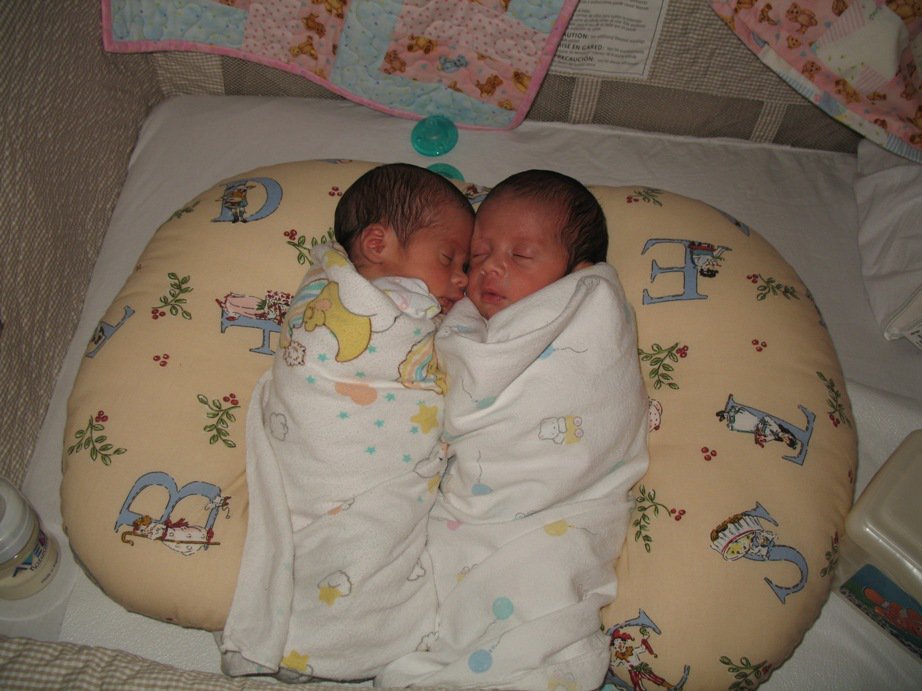A Mom's Guide to Surviving Everyday Life the greatest for twins