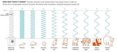 جدول توضيحي لمعدل سرعة الهزات لعدد من الحيوانات مقارنة بالغسالة الآلية