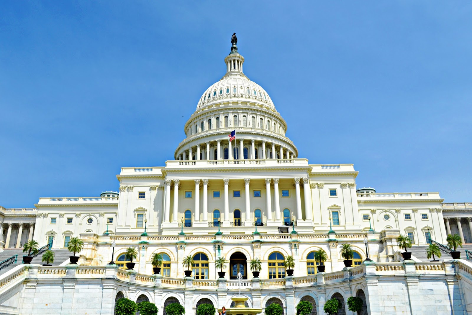 Samantha's Brewed Awakening Cups & Co. Russell Senate Office Building