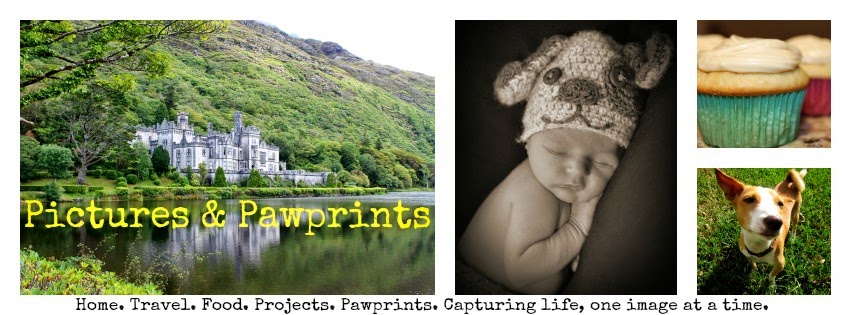 Pictures & Pawprints