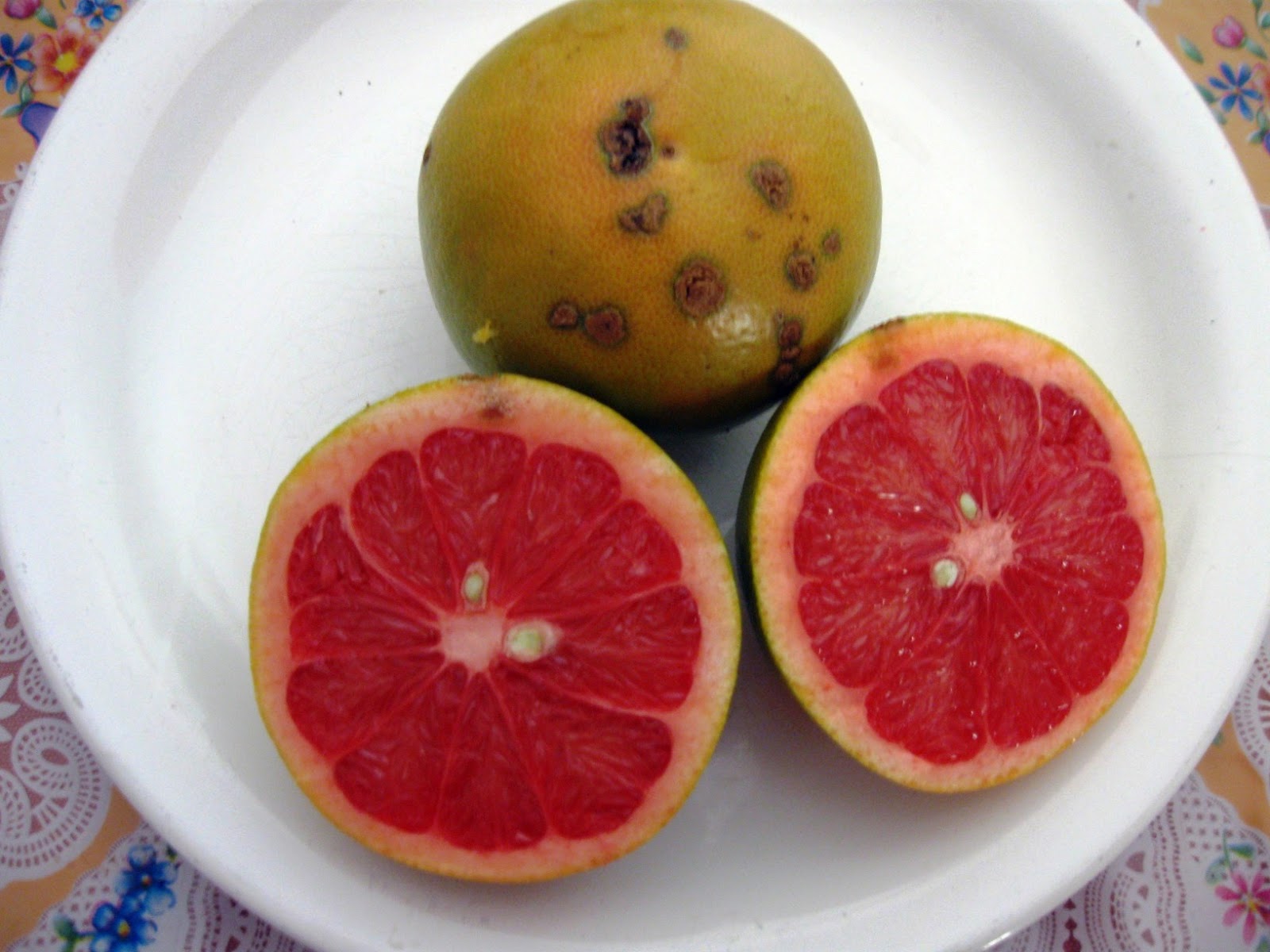 Comidas con historias POMELO ROSADO