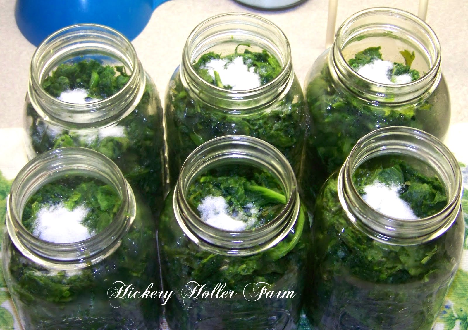 Hickery Holler Farm Canning Greens