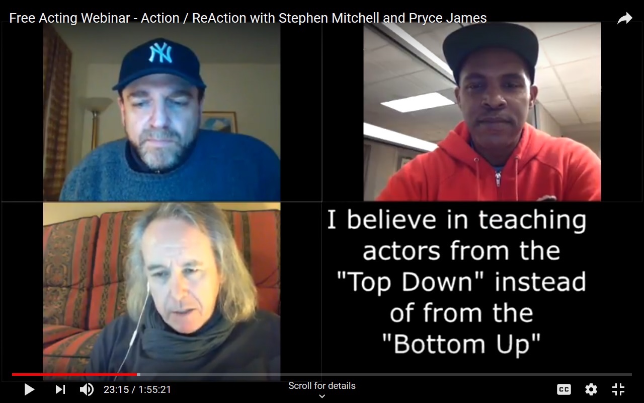 Action / ReAction Webinar with Stephen Mitchell and Pry'ce James hosted by Jay Chapin