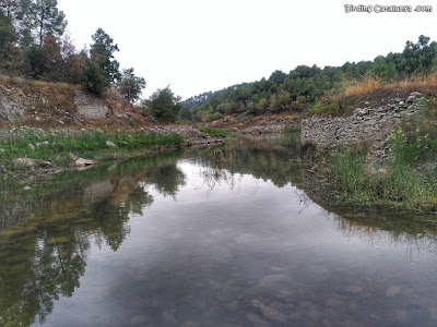 Pantà de Riudecanyes