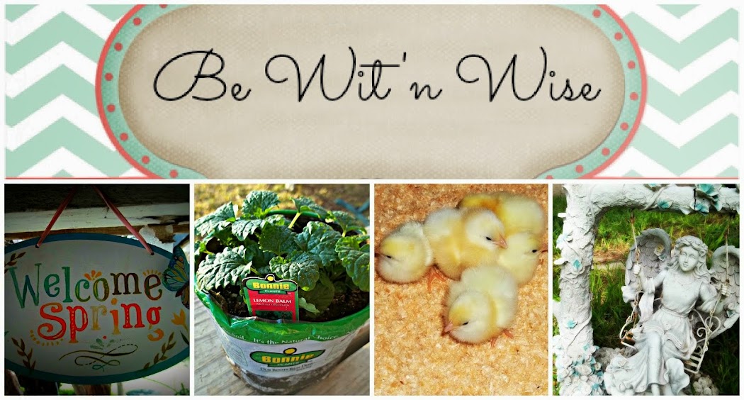 Be Wit'nWise