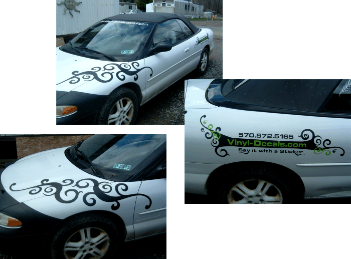 Printing Your Own Decals Made Easy Now With Sireprintng Decal Printing