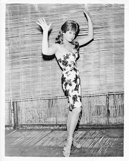 Slice of Cheesecake: Sue Ann Langdon, pictorial