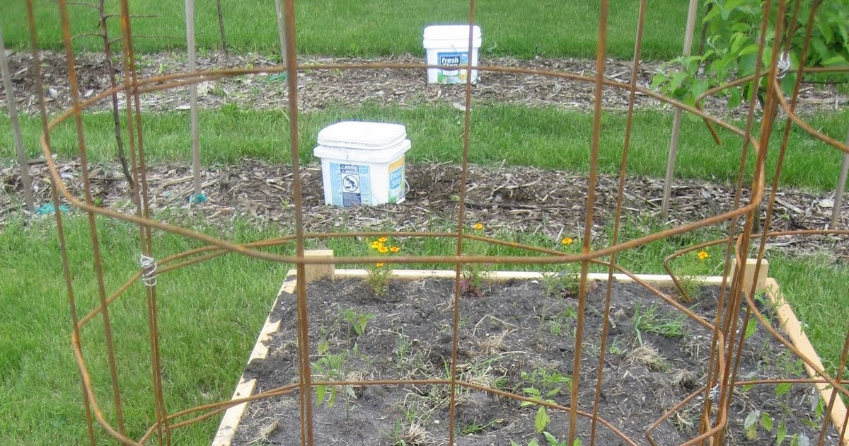 Deaf Dogs and Benevolent Gnomes Homemade Tomato Cages