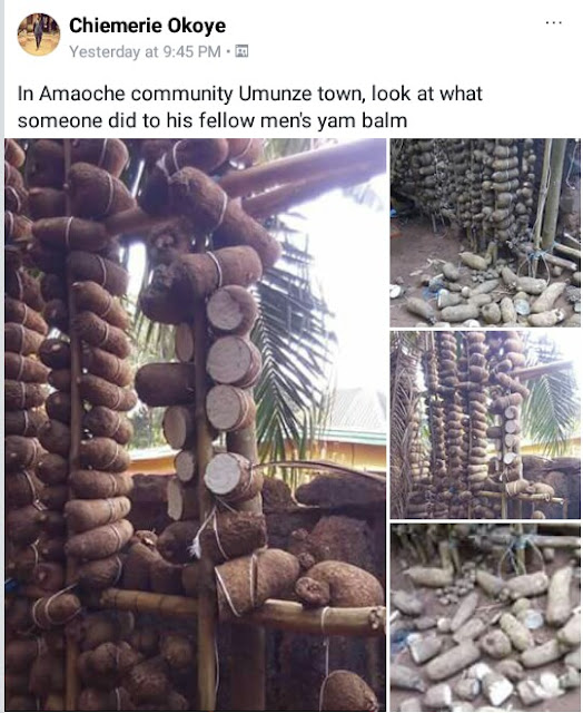 IMG 20180211 090104 129 Wickedness! Unknown person destroys yams in a man's barn in Anambra State