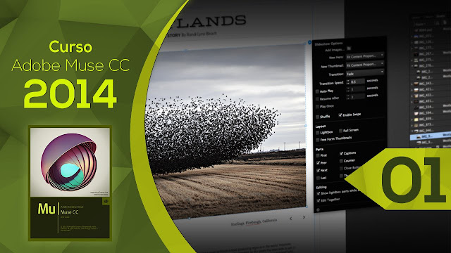 Buy OEM Adobe Muse CC 2014
