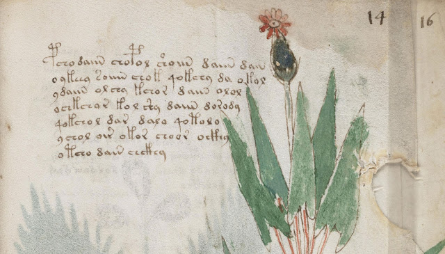 Um acadêmico da Universidade de Bristol conseguiu decifrar o manuscrito Voynich.