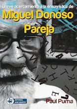Paúl Puma: ensayo, crítica literaria