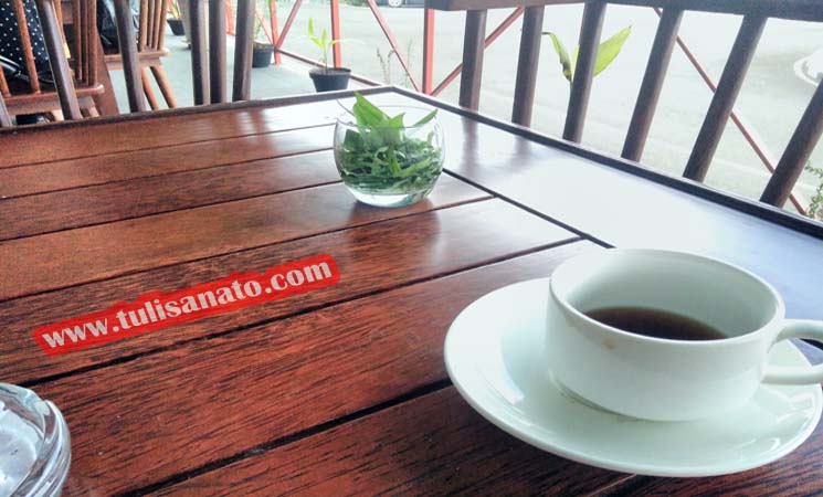 Cara Mengusir Lalat Menggunakan Daun Pandan Yang Terlihat Ampuh Ato Basahona Share