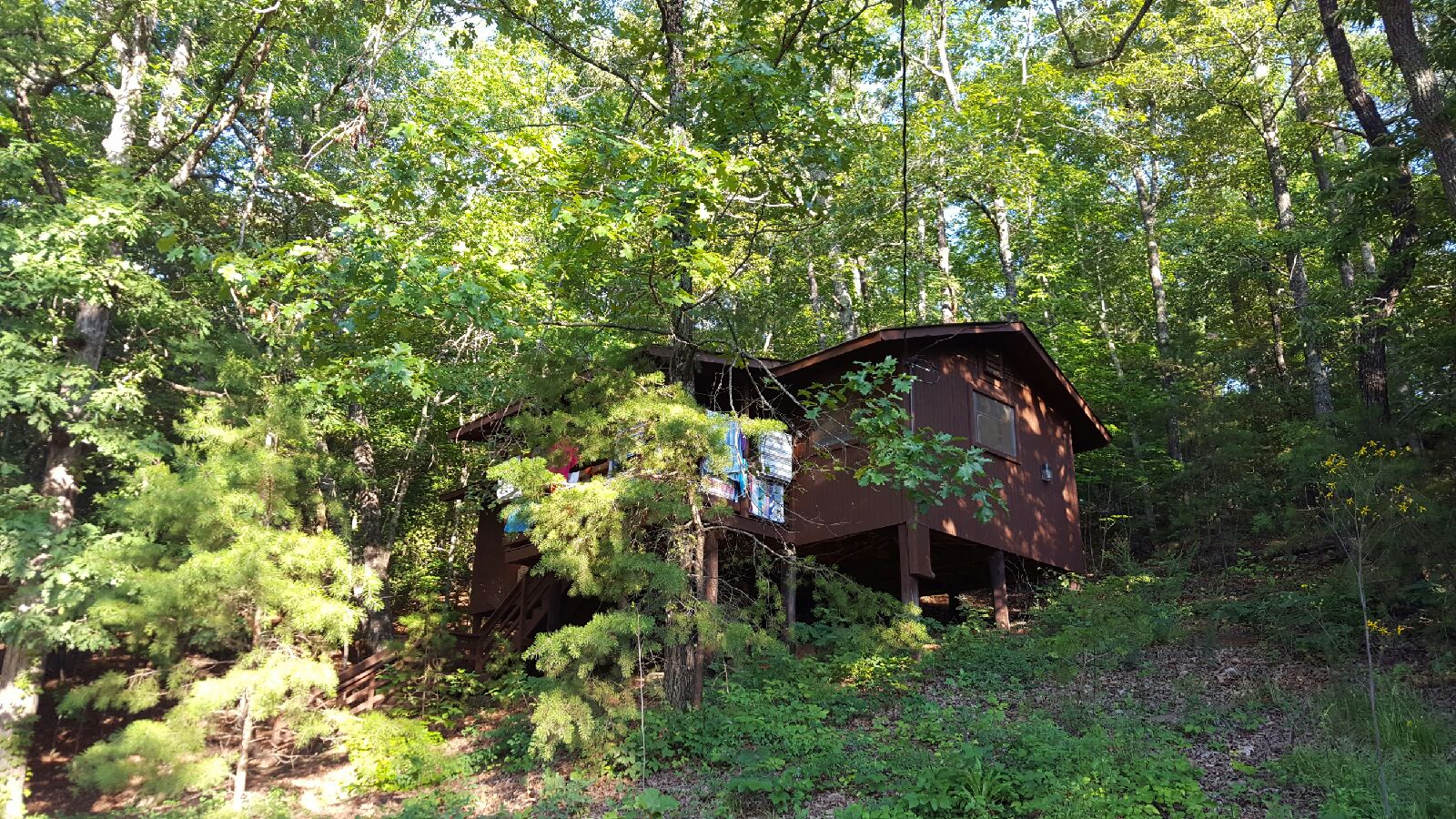 Lovings in Coral Springs Camp Coleman