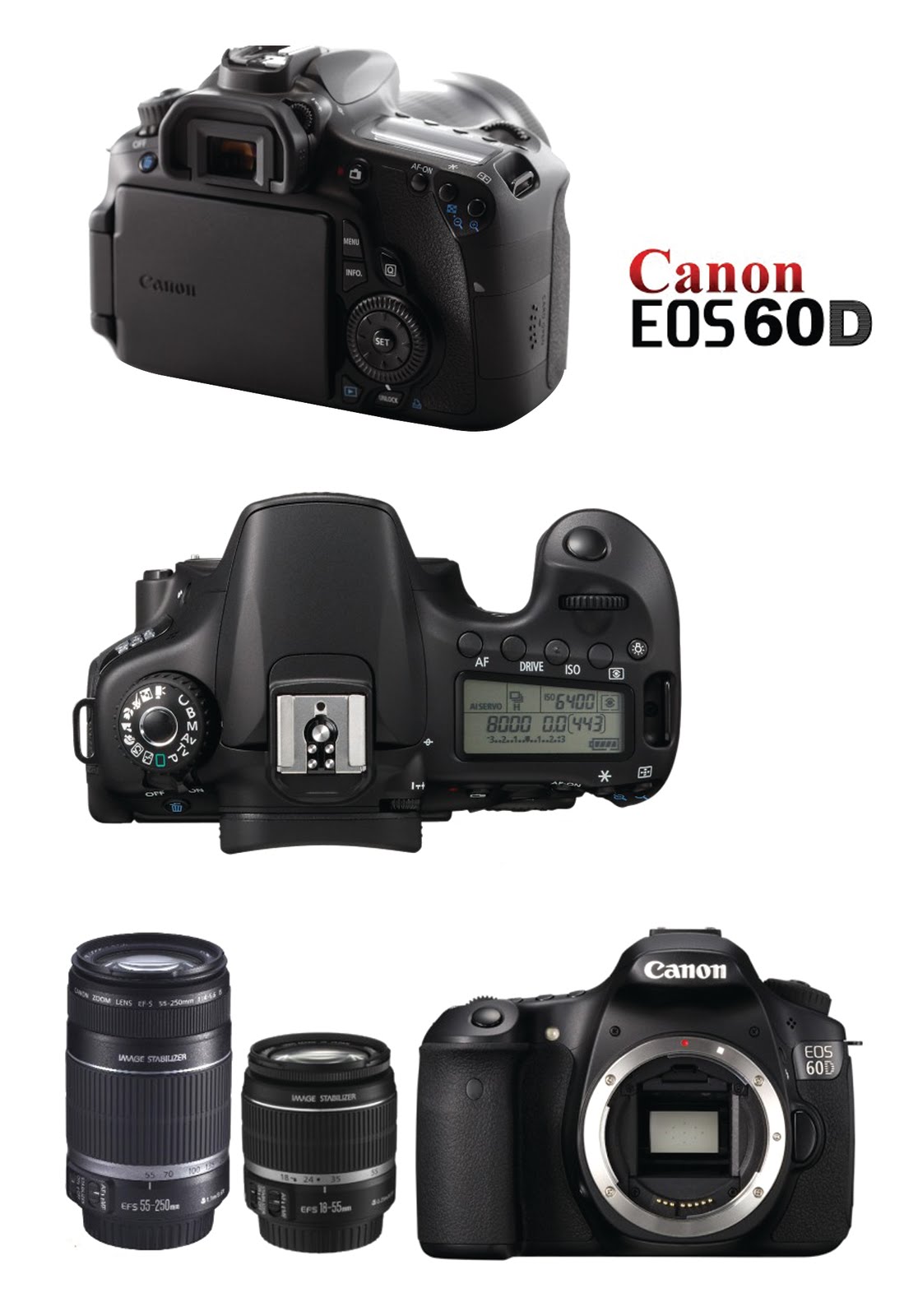 Sam and Krystal My First DSLR Camera!