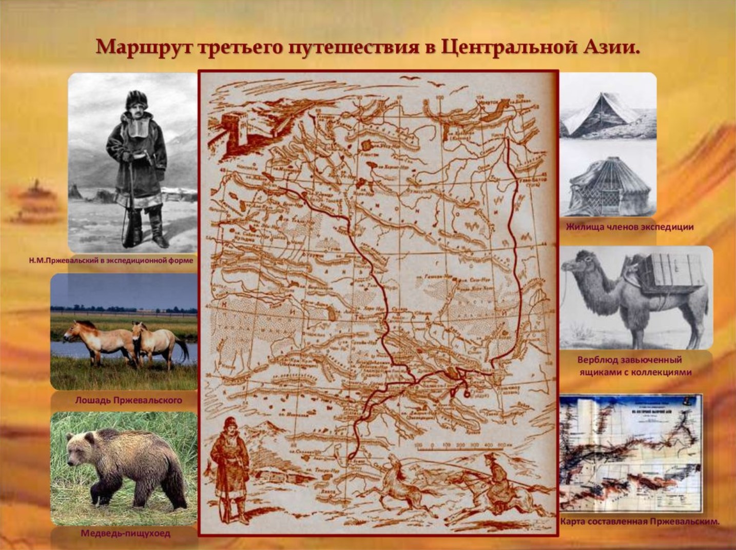 пржевальский какой материк