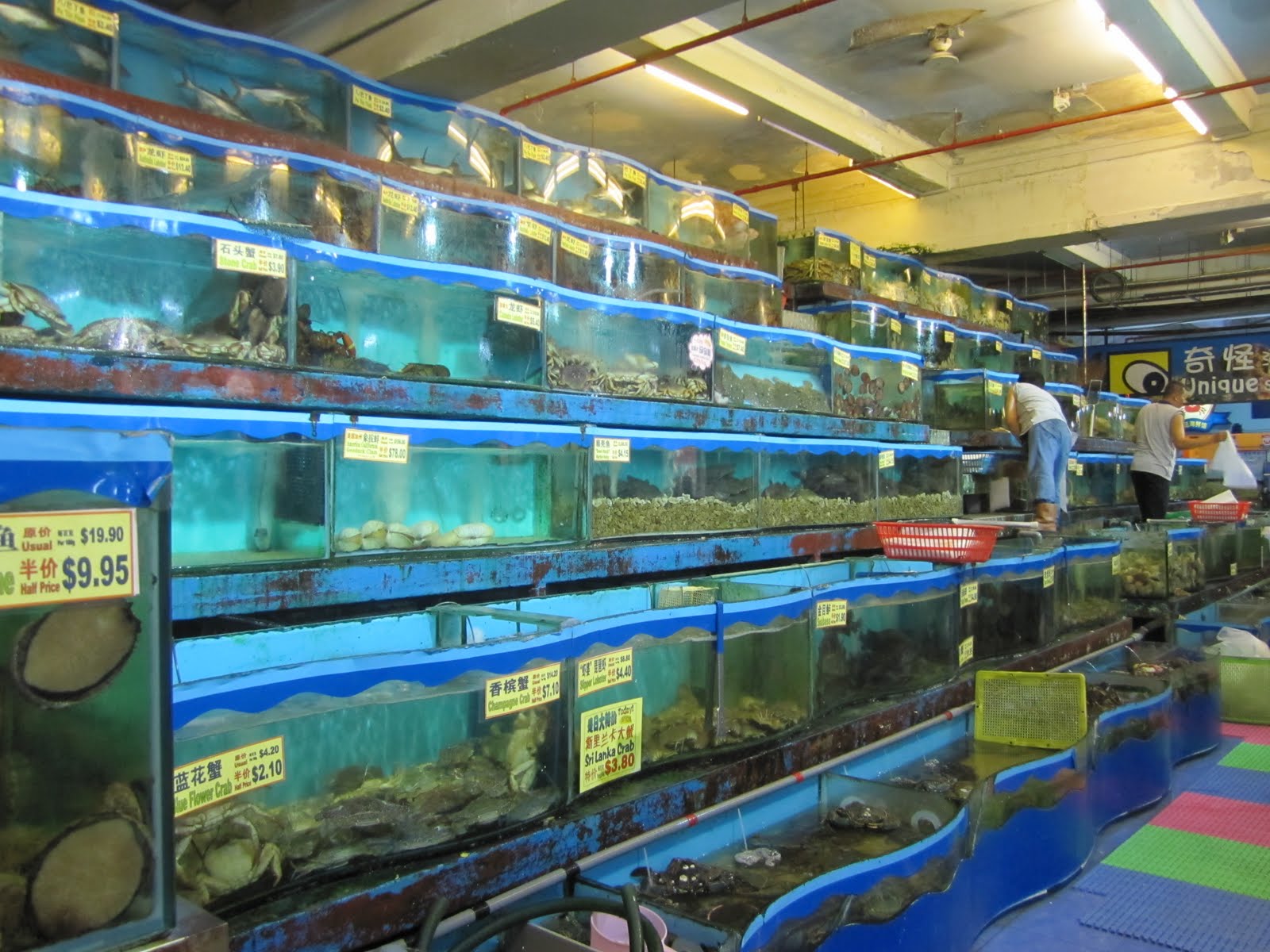 One98Five Unique Seafood Turf City