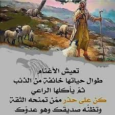 اقوال وحكم جميلة اقوال وحكم جميلة