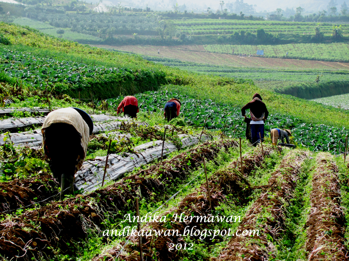 Penikmat Perjalanan Mencermati Kehidupan Masyarakat di