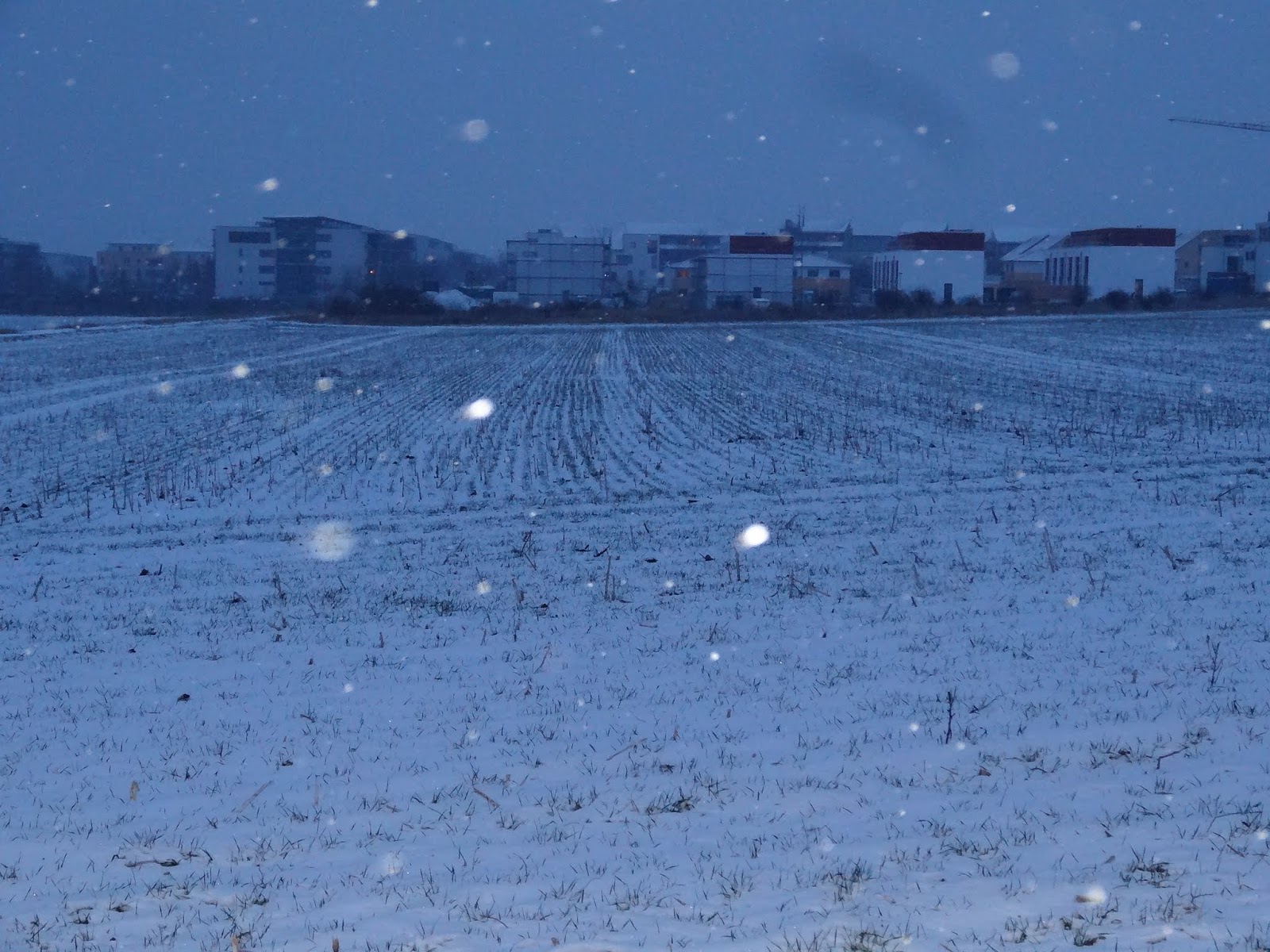 Желтые круги на снегу. Вертолетный круг на снегу. Тихо как падал снег падал весь квартал.