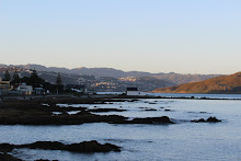 Views of Wellington