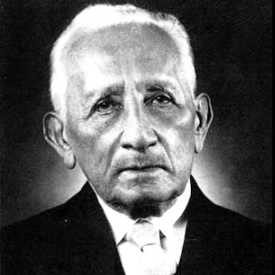 IPÊ-AMARELO: OS EXEMPLOS DO