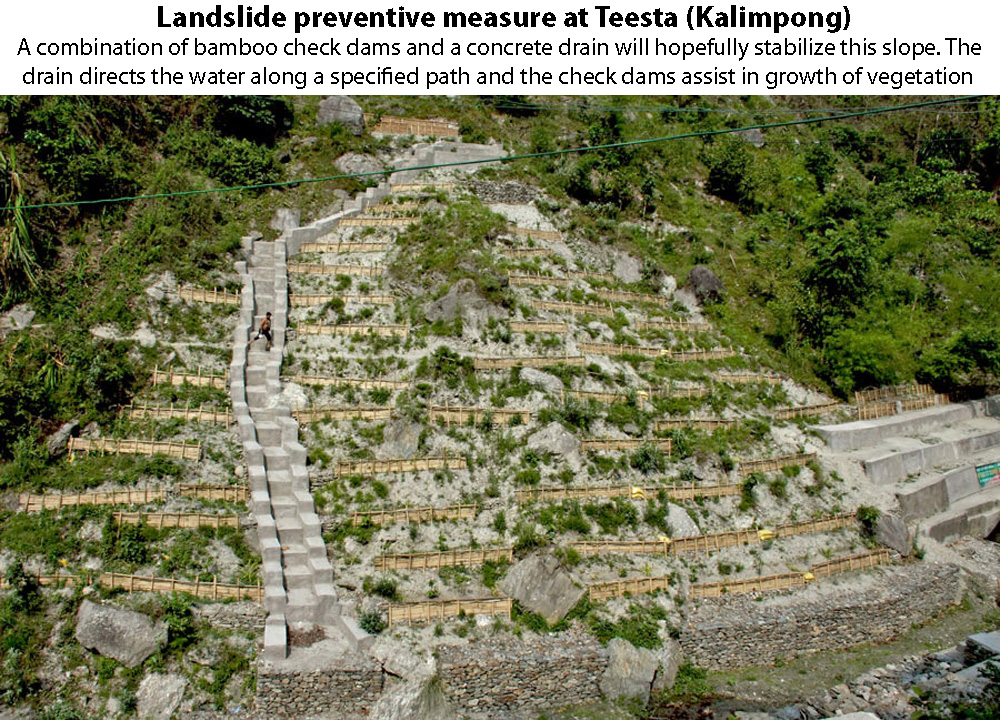 Visions of Hell Affordable & effective means of erosion control/slope