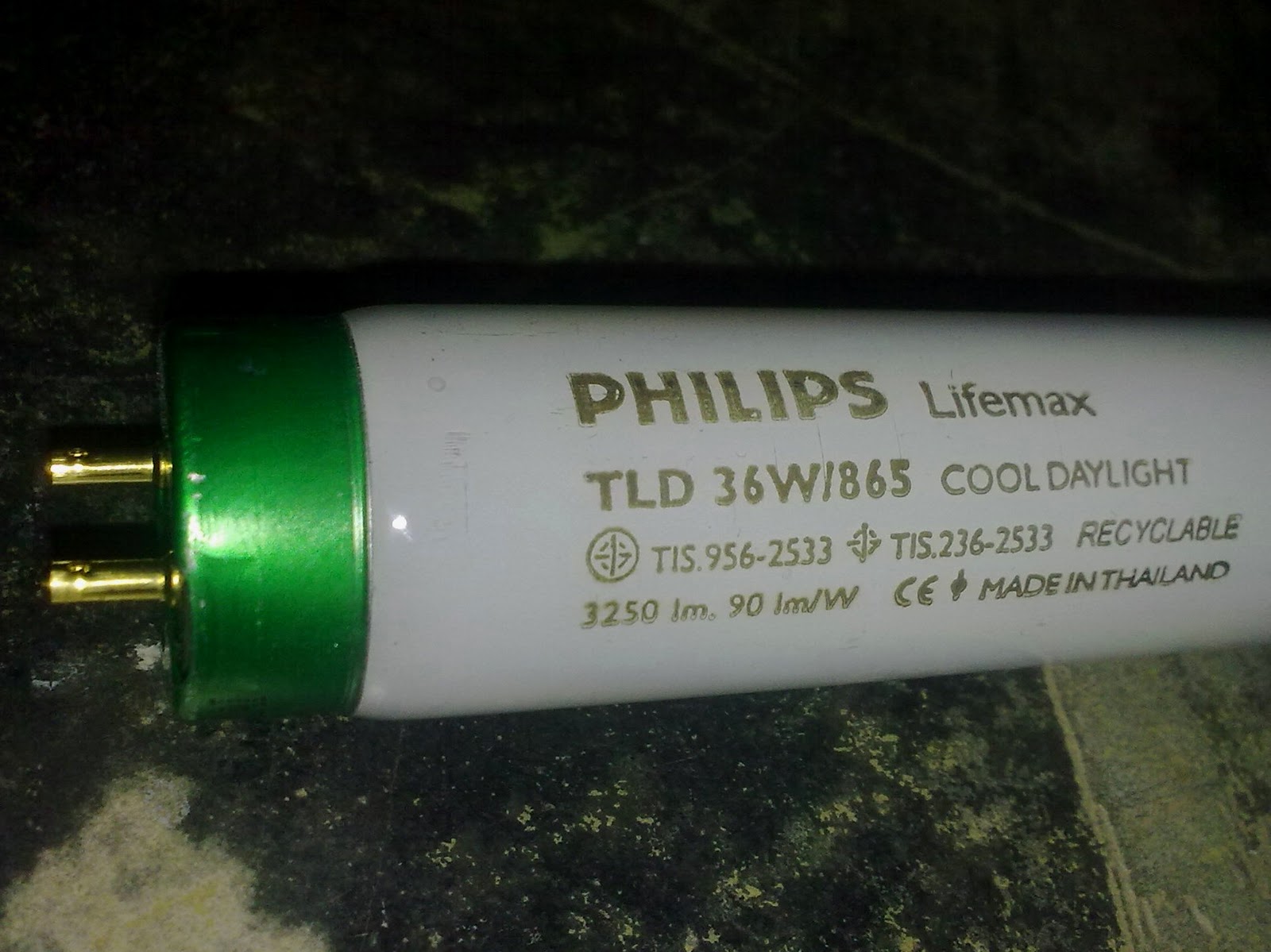 Cook With Cheah Go Green Tips Replace Conventional Bulbs with Energy