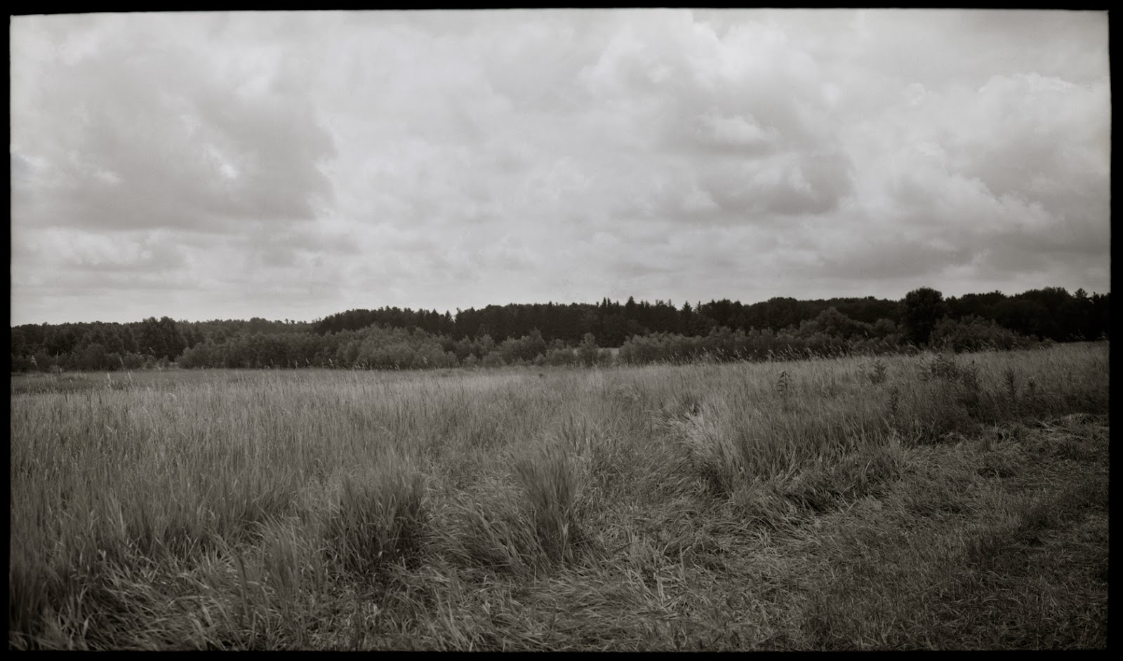 The Wisconsin Project Field of Grass, Whitelaw, WI