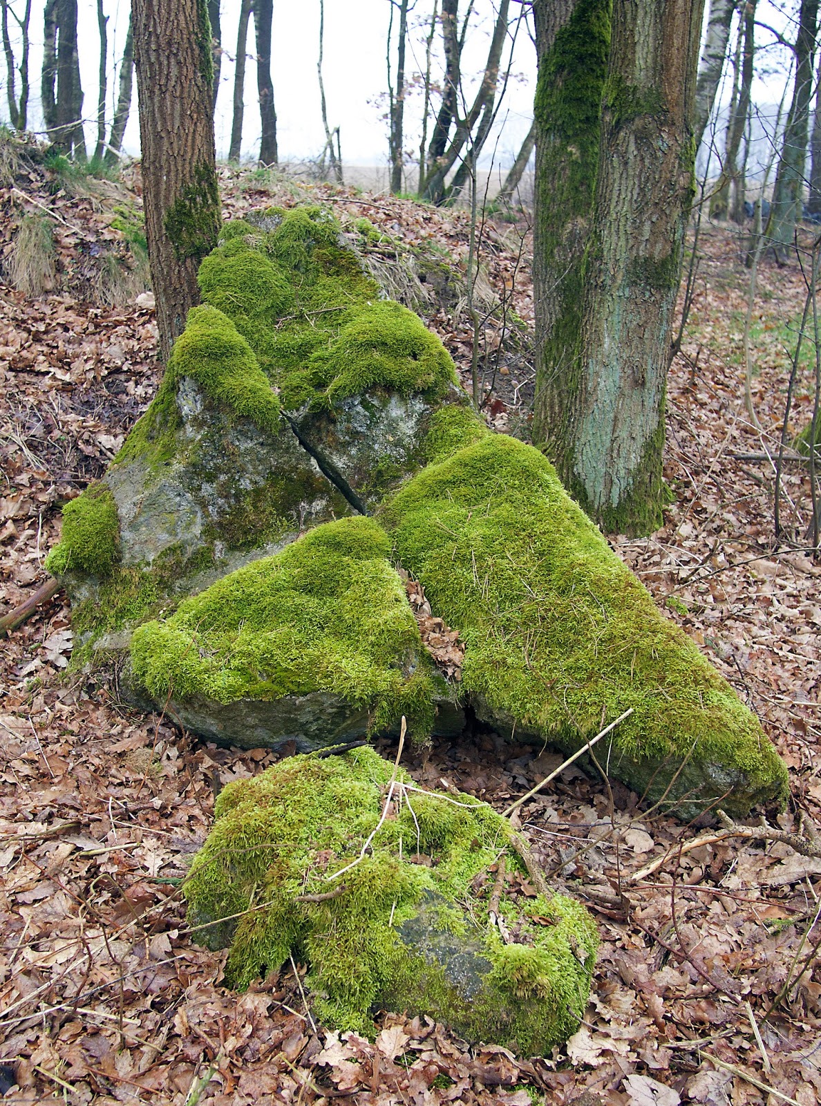 Im Garten und am Wegesrand FakeFelsen
