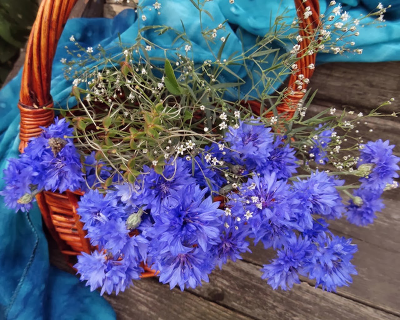 Flower desktop wallpapers - Beautiful wallpapers collection 2018