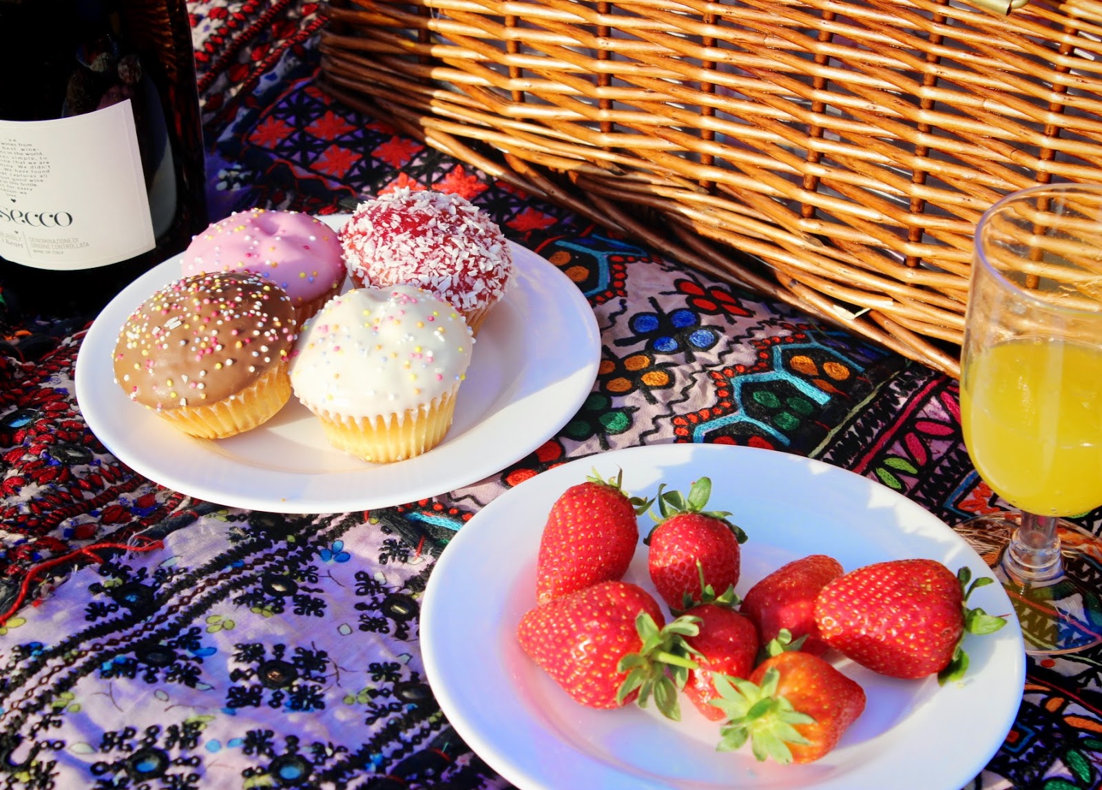 A Picnic with Joules Fox & Feather