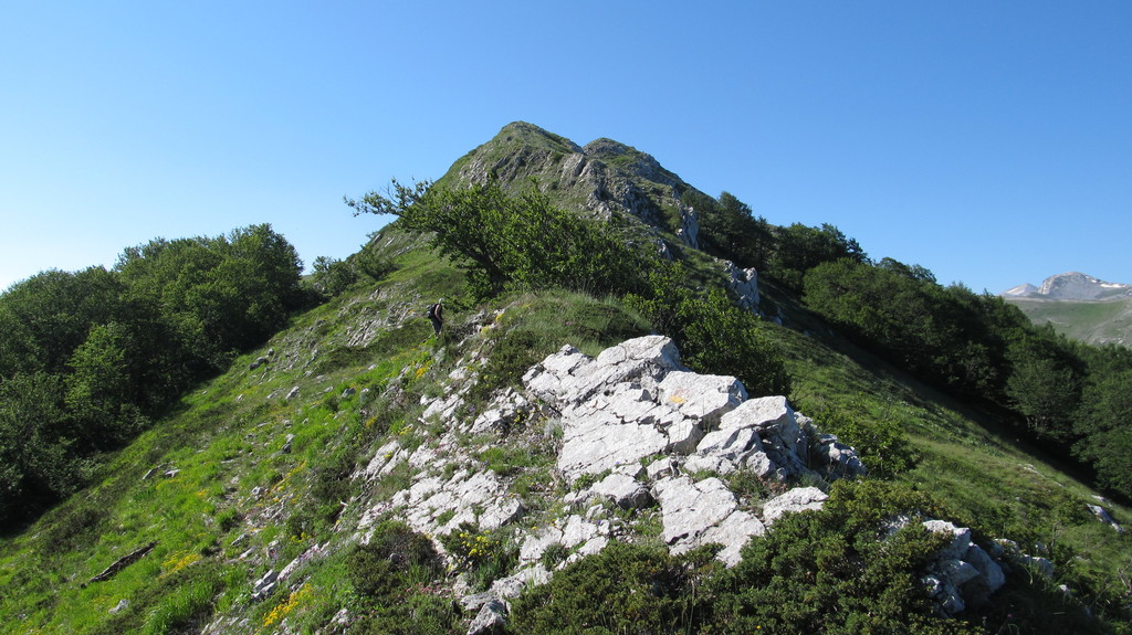 IMG_9870.JPG